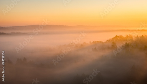 Foggy morning on the Jura Krakowsko-Czestochowska  Bobolice  Poland
