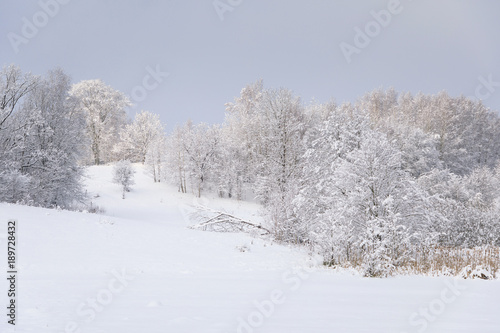 Countryside landscape in a deep winter © castenoid