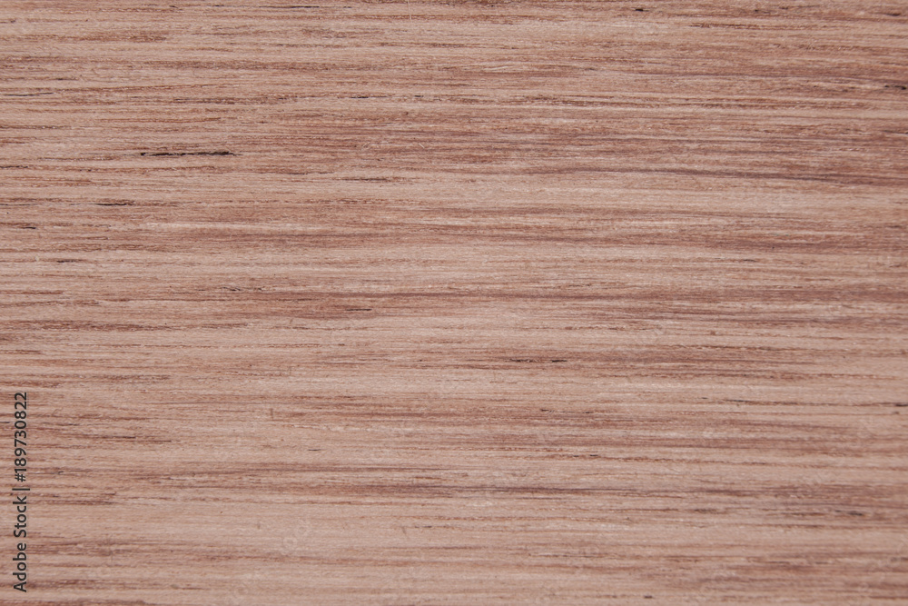 Fototapeta premium closeup on a piece of wood, background