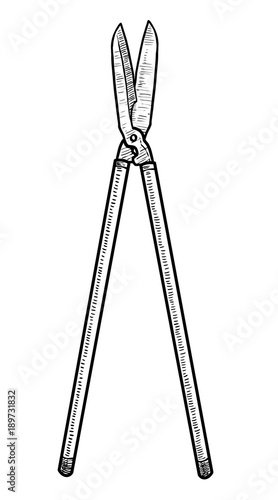 Garden pruner illustration, drawing, engraving, ink, line art, vector