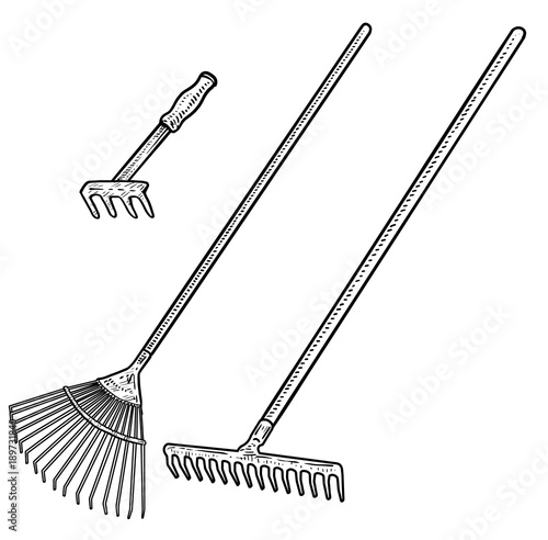 Rake illustration, drawing, engraving, ink, line art, vector