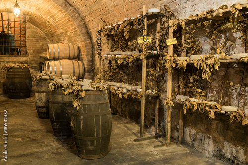 Wine barrels and pecorino cheese (a hard Italian cheeses made from ewe's milk) in a traditional cellar