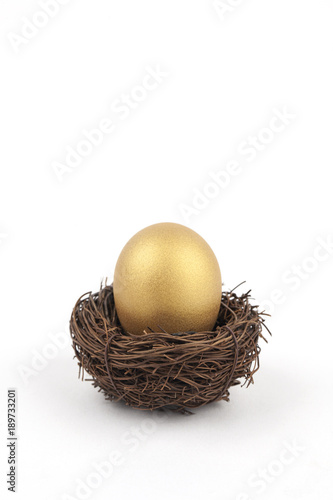 Golden egg on white background