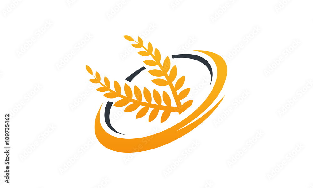 Wheat logo template, Iconic Wheat logo designs vector