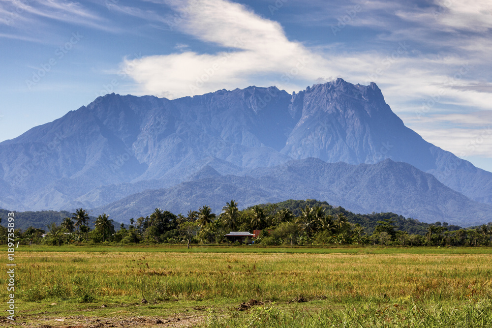 Mount Kinabalu viewed by mid-day from the paddy fields of Sangkir Village, Kota Belud, Sabah.