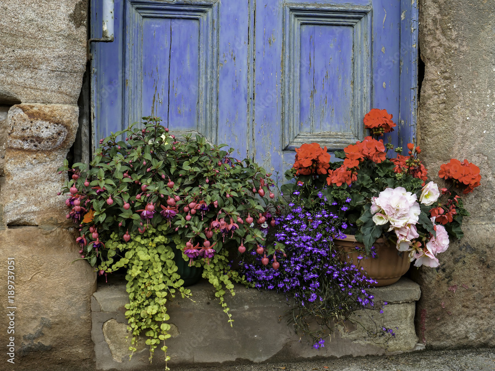 Fototapeta premium Flowers in Bloom by a weathered door