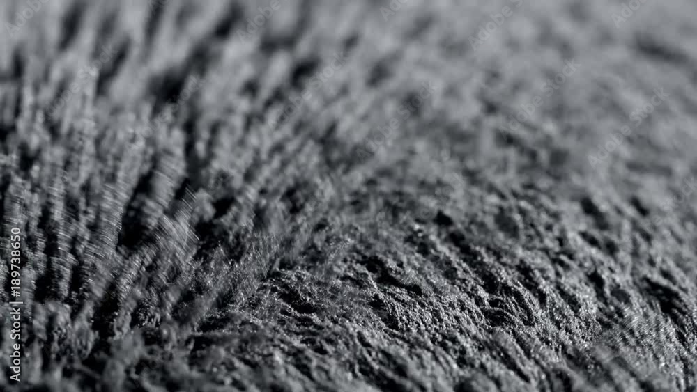 Iron powder under the influence of a magnetic field. Сlose-up. Iron powder under the influence of a magnetic field. Сlose-up.