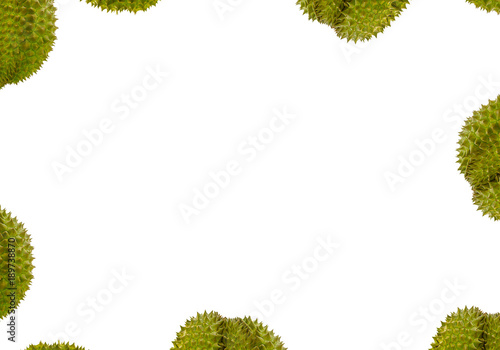 durian green spiny fruit royal fruit pattern, part of fruit drawing on white background