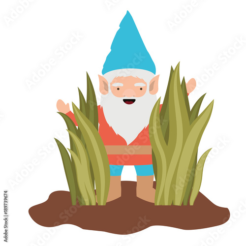 gnome coming out of the bushes on white background vector illustration