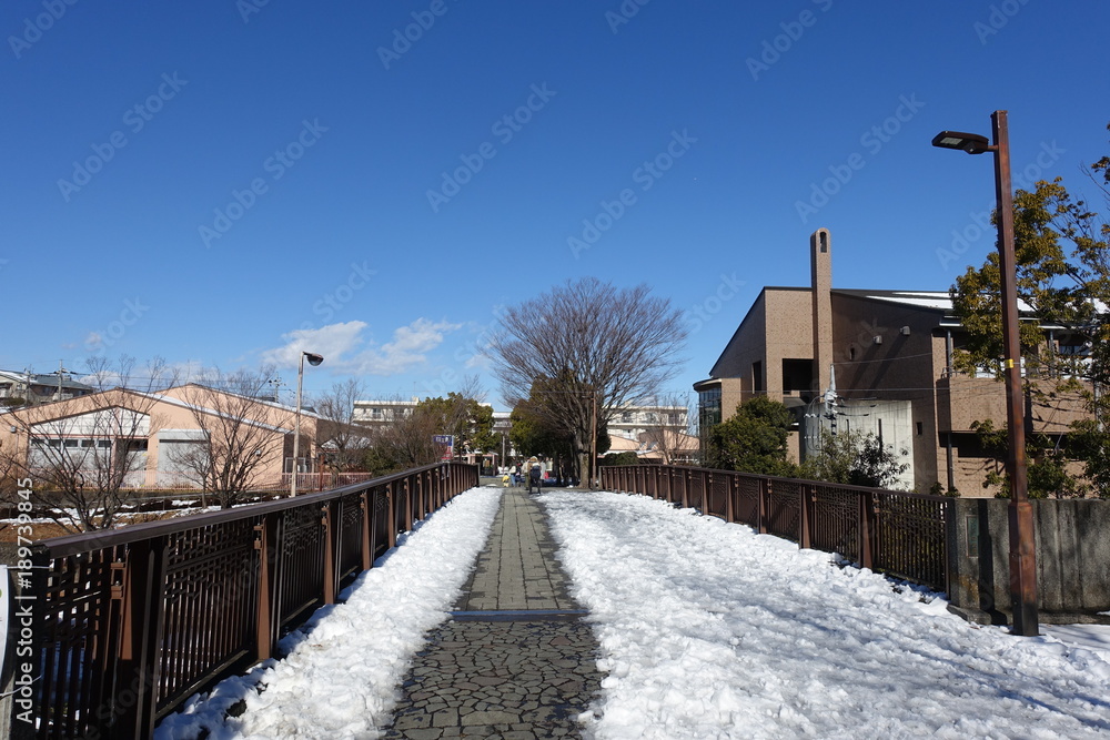 冬の散歩