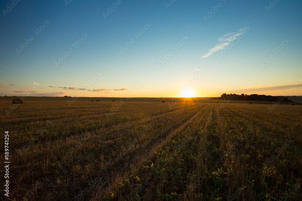 Beautiful Summer Landscape On Agricultural Field With Hay Straw Bales In Countryside At Sunset Or Sunrise.
