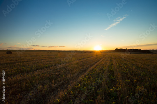 Beautiful Summer Landscape On Agricultural Field With Hay Straw Bales In Countryside At Sunset Or Sunrise.