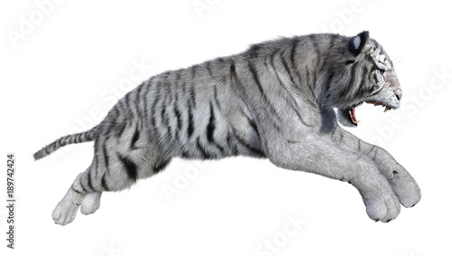 Fototapeta Naklejka Na Ścianę i Meble -  3D Rendering White Tiger on White