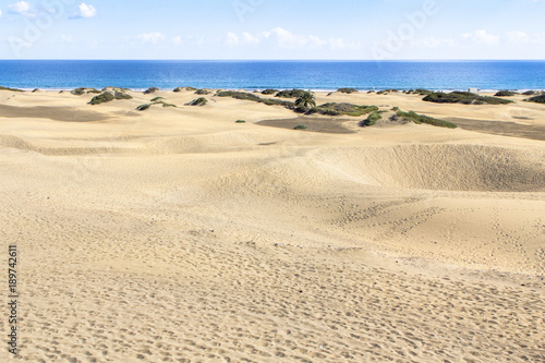 Maspalomas Sand Dune Desert  Grand Canaria