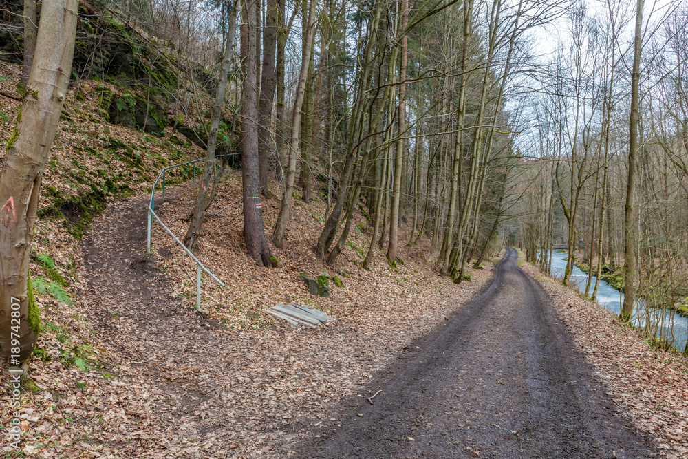Fototapeta premium wild romantisches Vogtland - Triebtal_10 - Zugang Staumauer Pöhl