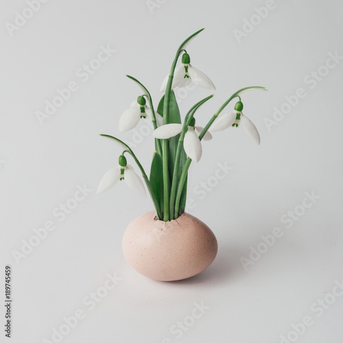 Creative concept made with snowdrop flowers and egg shell. Spring minimal concept. Easter background.