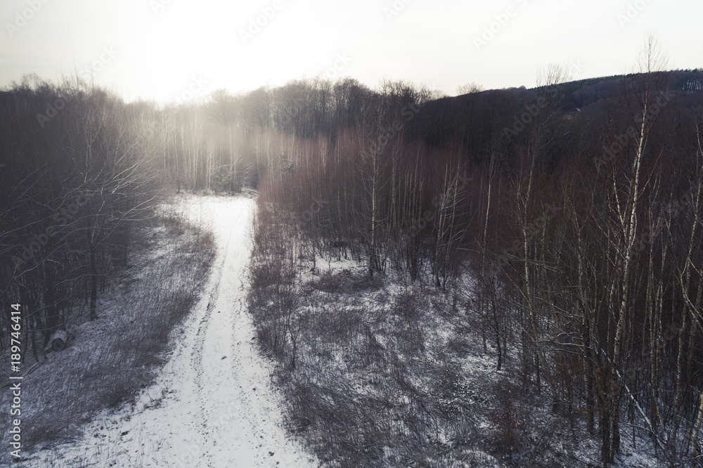 Fototapeta premium drone flight over birch forest in january with little snow