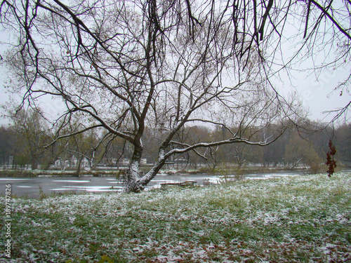 Winter park landscape