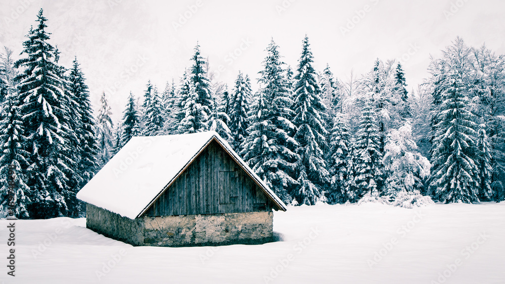 Snowfall in the italian alps Snowfall in the italian alps