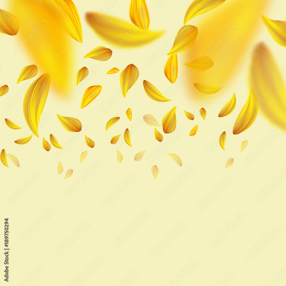 Flying yellow petals