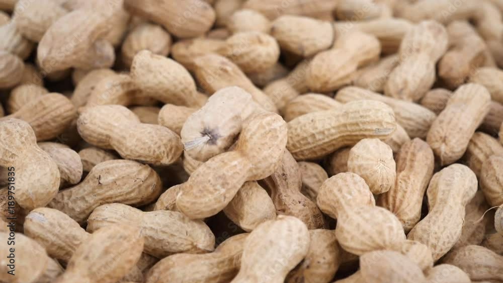 Peanuts falling in slow motion, studio shot Peanuts falling in slow motion, studio shot