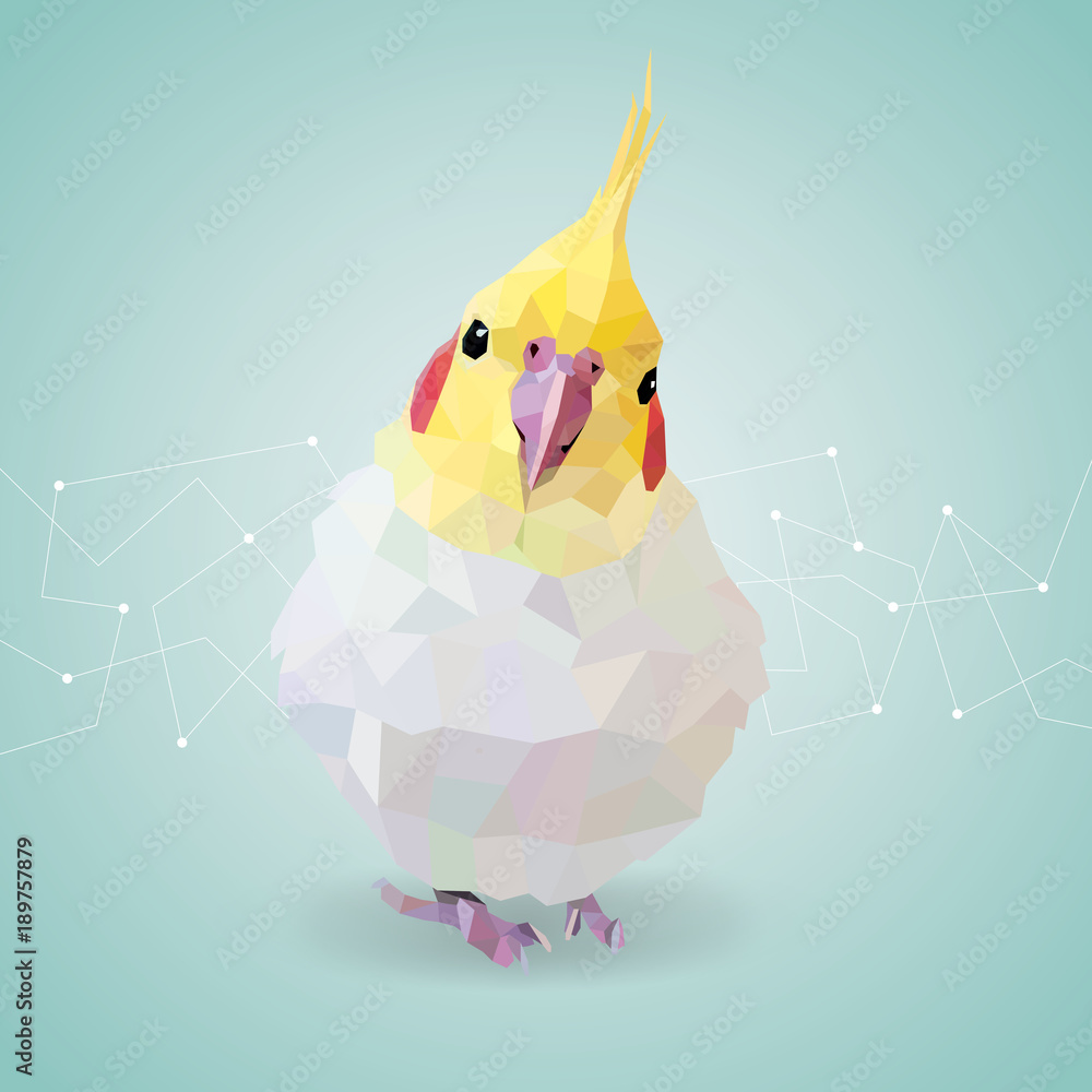Fototapeta premium 幾何学的 オカメインコ