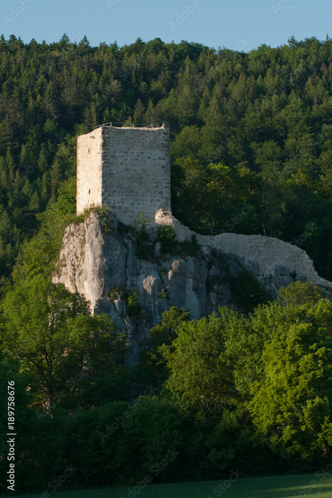 Burgruine Dietfurt Burgruine Dietfurt