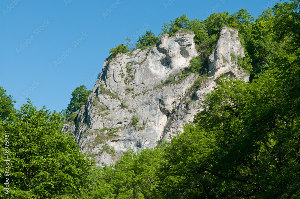 Felsen im Donautal