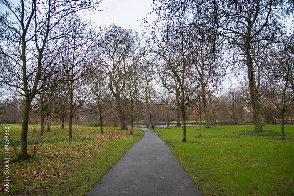 Pathway trough trees in Regent's Park, London.
