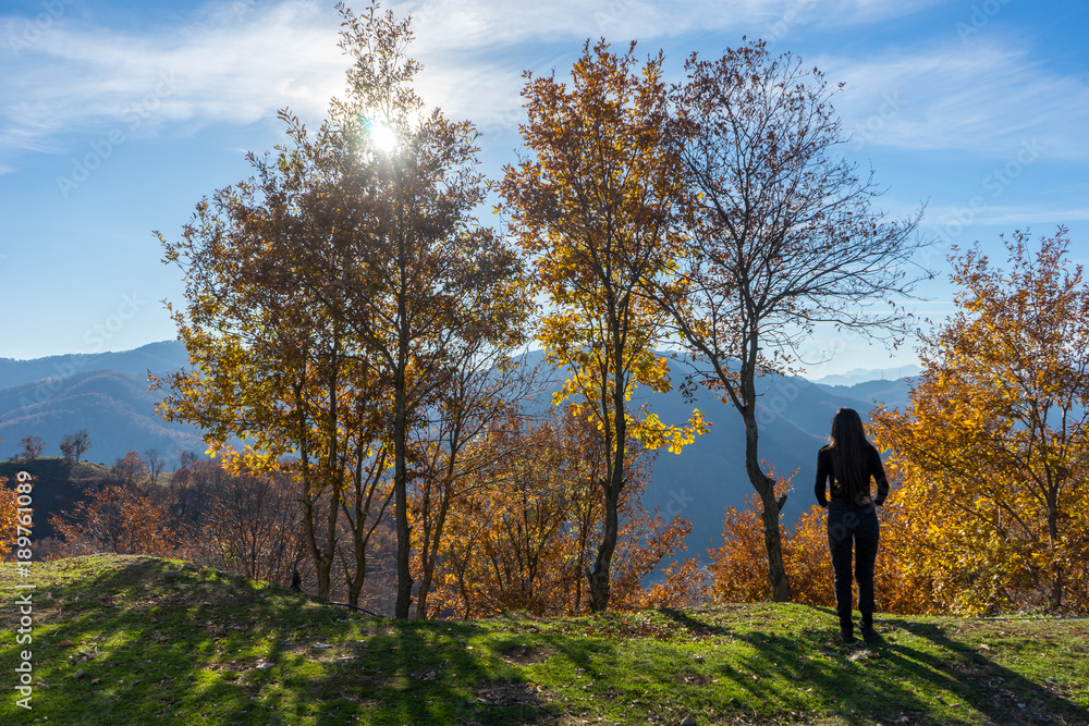 Girl in forest looking at the view Girl in forest looking at the view