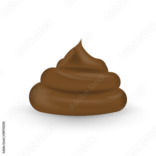 Realistic shit. Melted milk chocolate isolated on white background. Vector illustration.