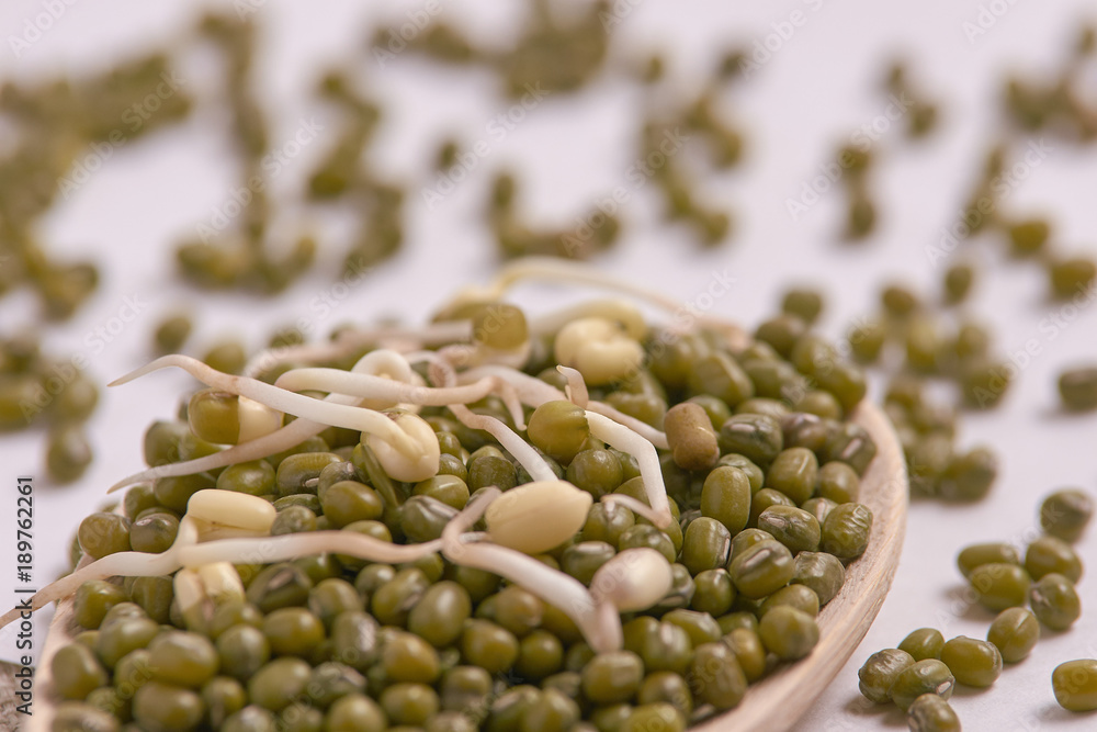 Green beans. Healthy food. Wooden spoon. Fresh sprouts Green beans. Healthy food. Wooden spoon. Fresh sprouts