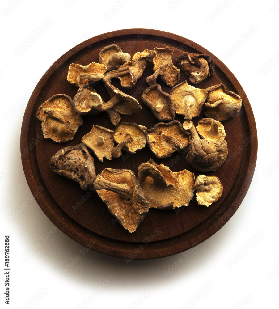 Fototapeta premium Fungi