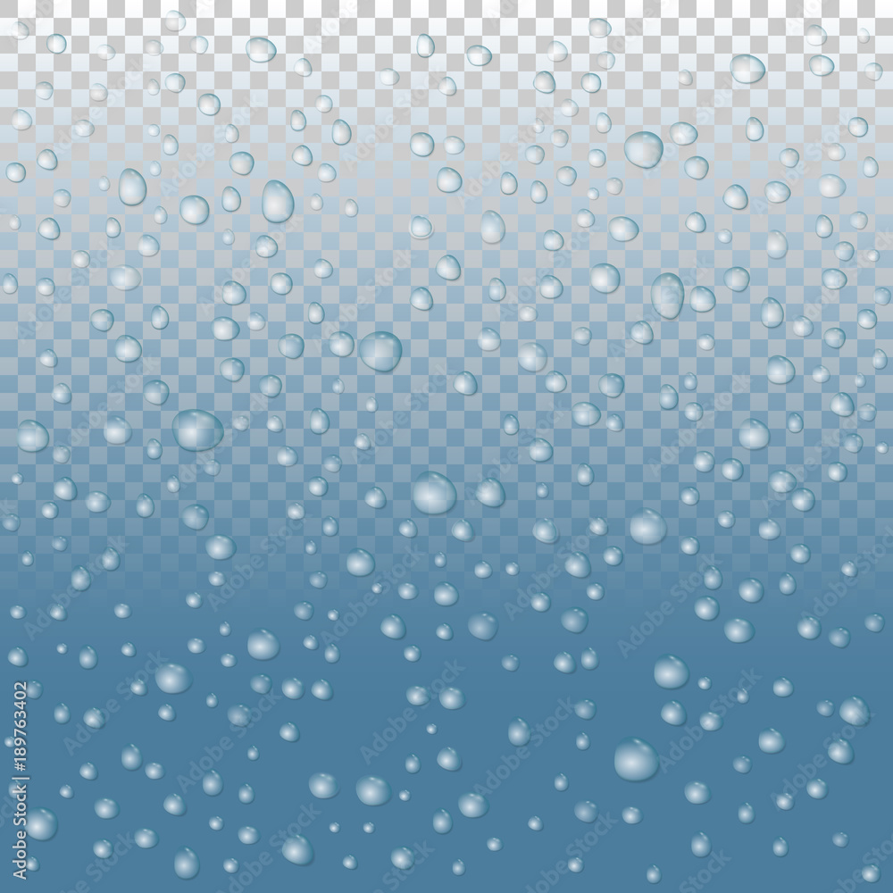 vector Water drops on glass. rain drops