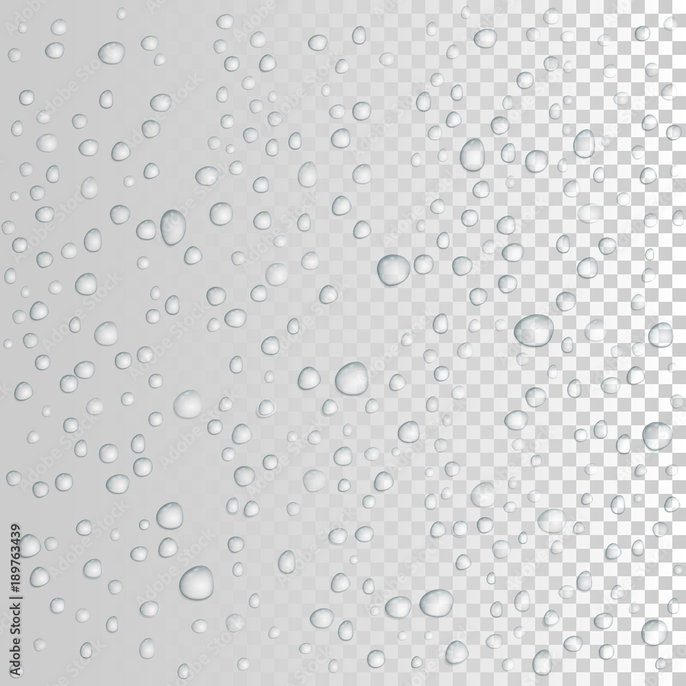 vector Water drops on glass. rain drops vector Water drops on glass. rain drops