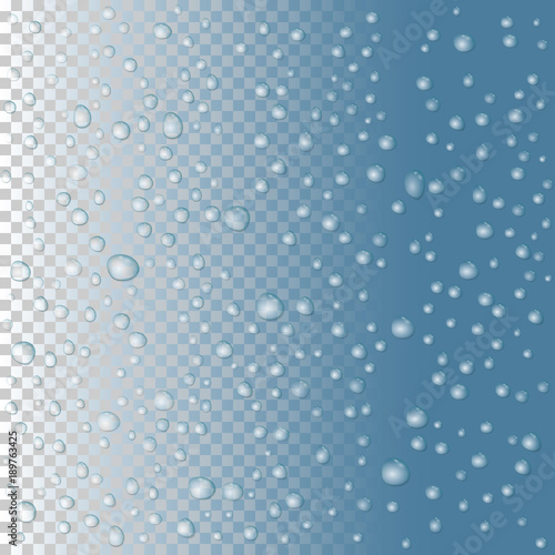 vector Water drops on glass. rain drops
