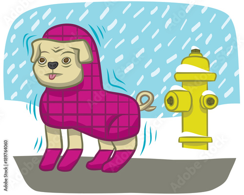 A bundled-up dog shivers in the cold.
