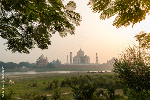 Taj Mahal seen from Mehtab Bagh Garden on the otherside of Yamuna River, Agra, Uttar Pradesh photo