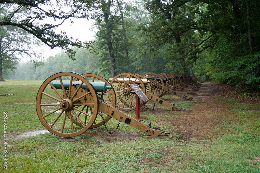 Cannons in field