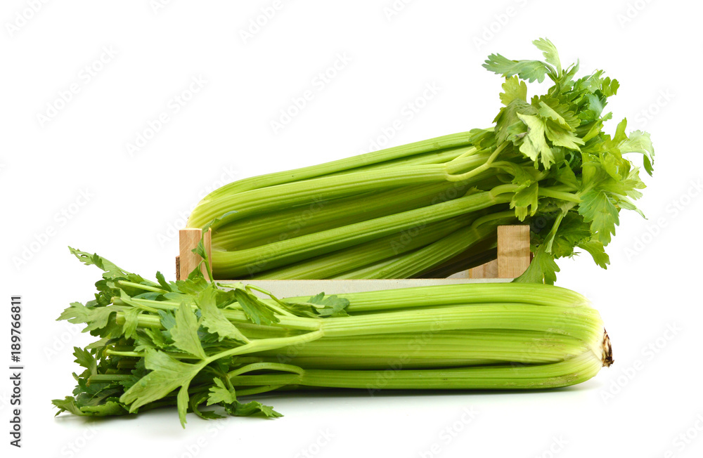 fresh celery in wood crate on white fresh celery in wood crate on white