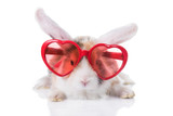 Adorable lop eared rabbit wearing heart shaped glasses, isolated on white