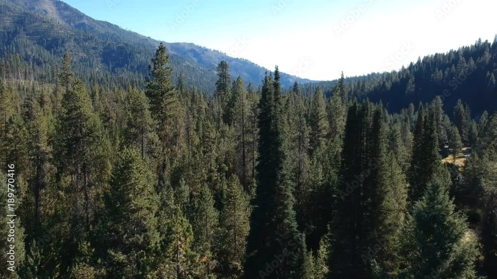 Ariel shot of the forest in Silver Creek Plunge, Idaho Ariel shot of the forest in Silver Creek Plunge, Idaho