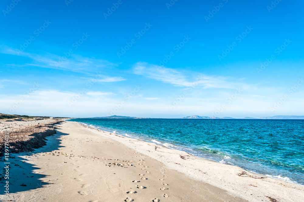 Landscape of sardinian beach in summer