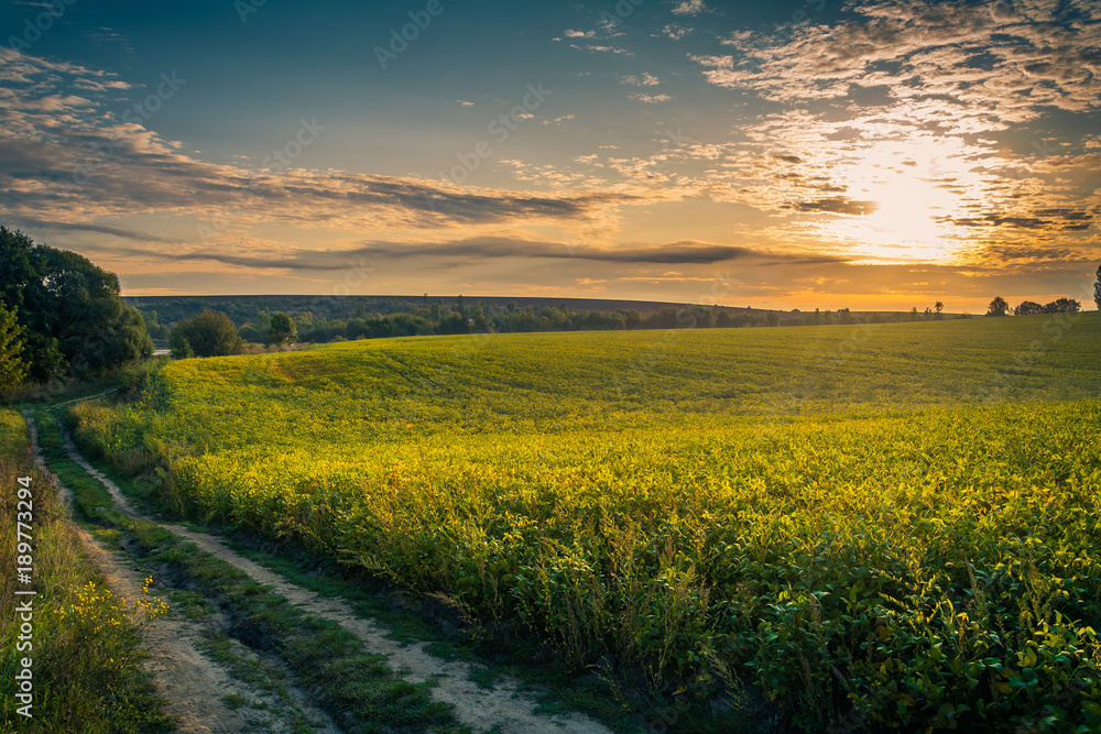 Fields, forests and roads in autumn