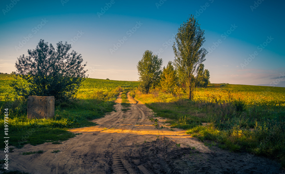 Fields, forests and roads in autumn Fields, forests and roads in autumn