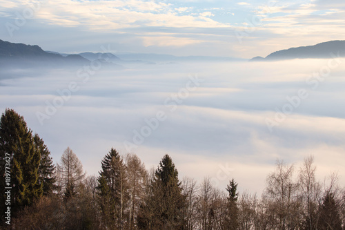 Landscape Morning View With Waves of Fog Over the Mountain and Trees