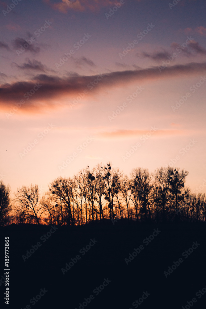 Fototapeta premium Sunset