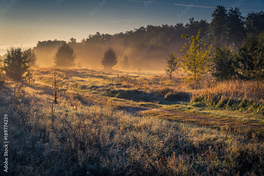 Fields, forests and roads in autumn