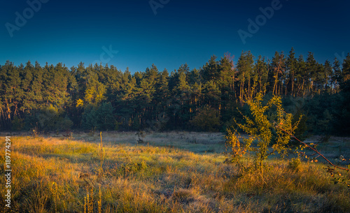 Fields, forests and roads in autumn