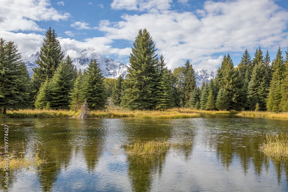 Scenic Reflection Landscape in the Tetons in Fall